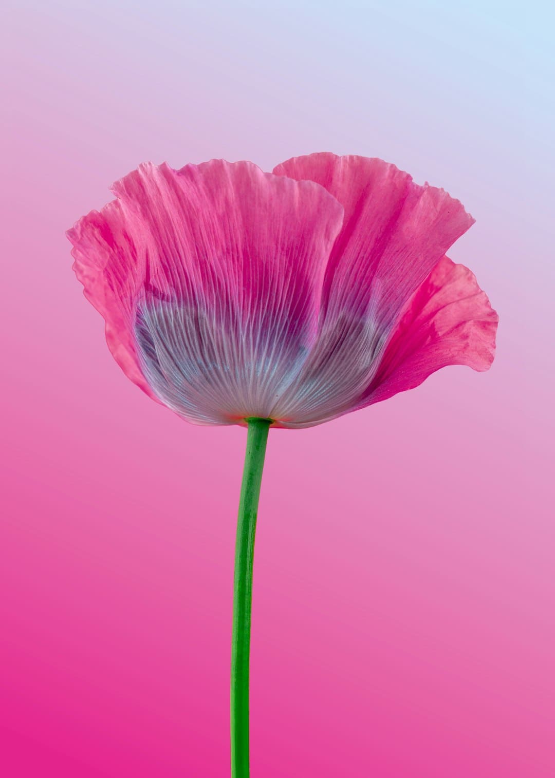 http://n.sinaimg.cn/news/transform/w600h400/20180307/7kVB-fxipenp1192831.jpg?zdy